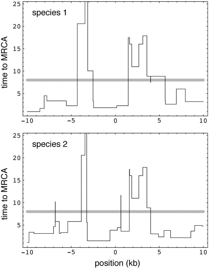 Figure 4.—