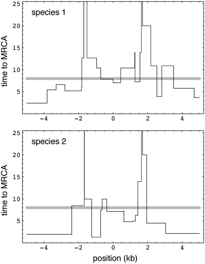 Figure 5.—