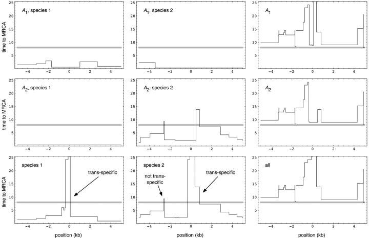 Figure 1.—