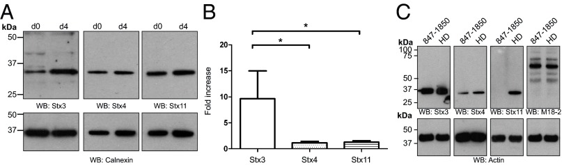 Fig. 5.