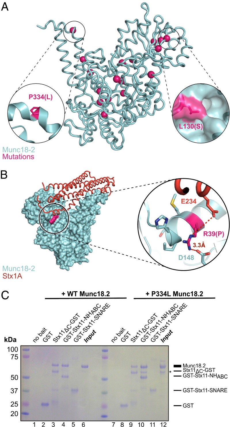 Fig. 3.