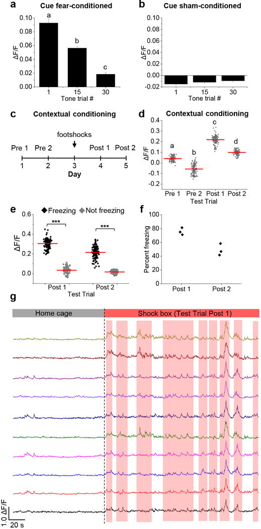 Extended Data Figure 6