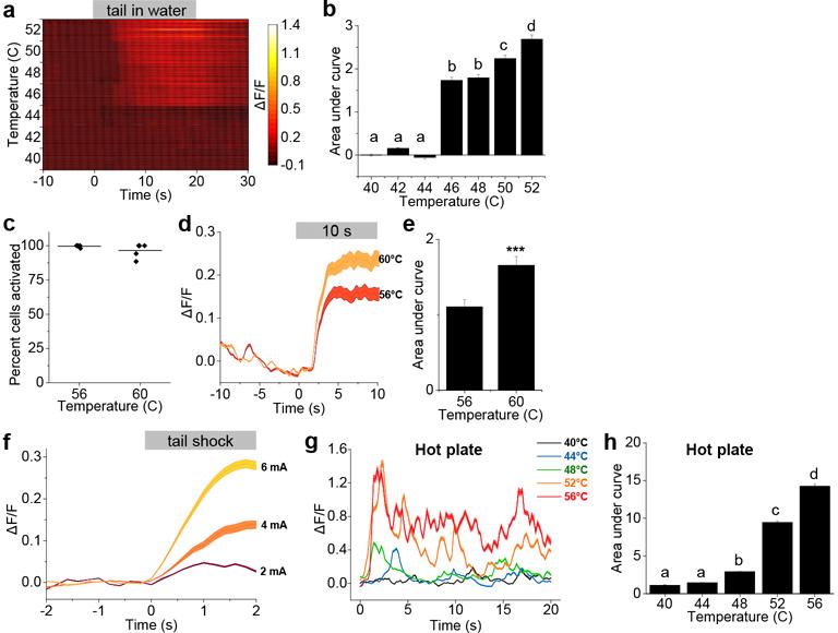 Extended Data Figure 2