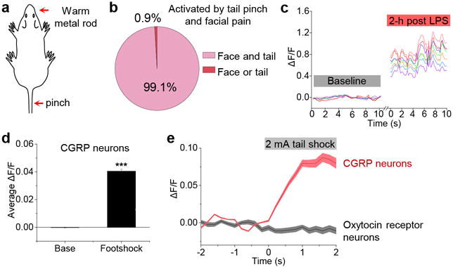 Extended Data Figure 1