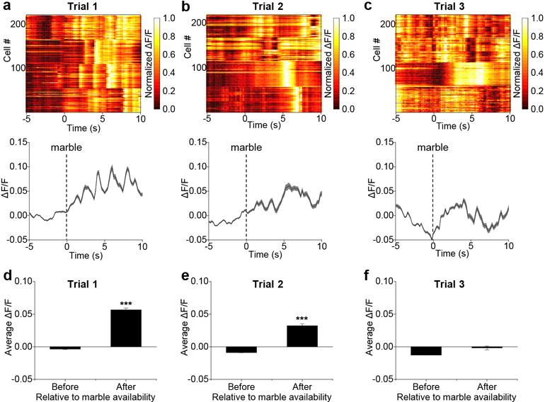 Extended Data Figure 5