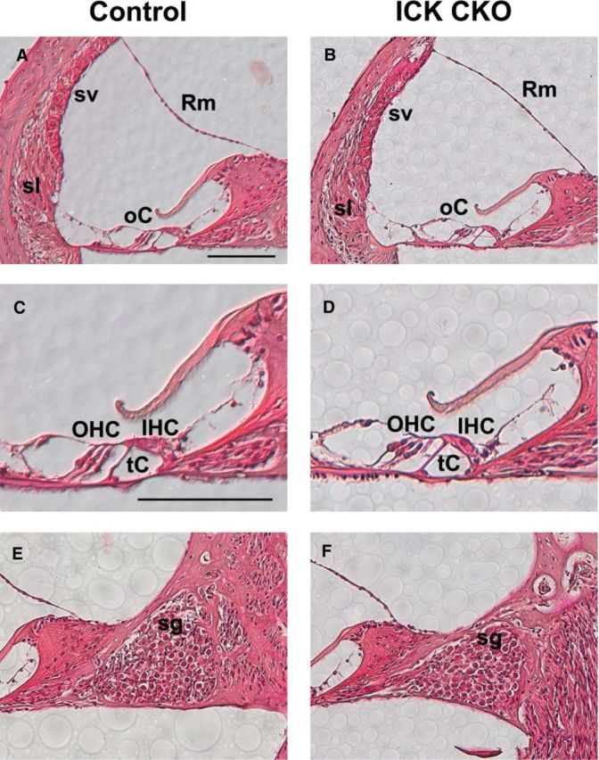 Figure 9.