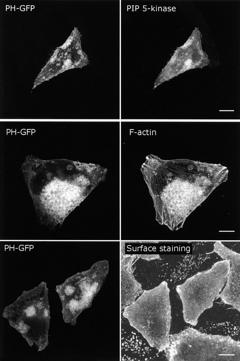 Figure 5.