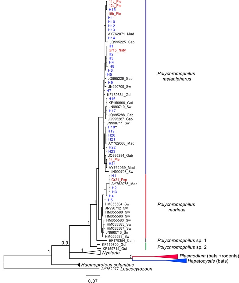 Fig. 3