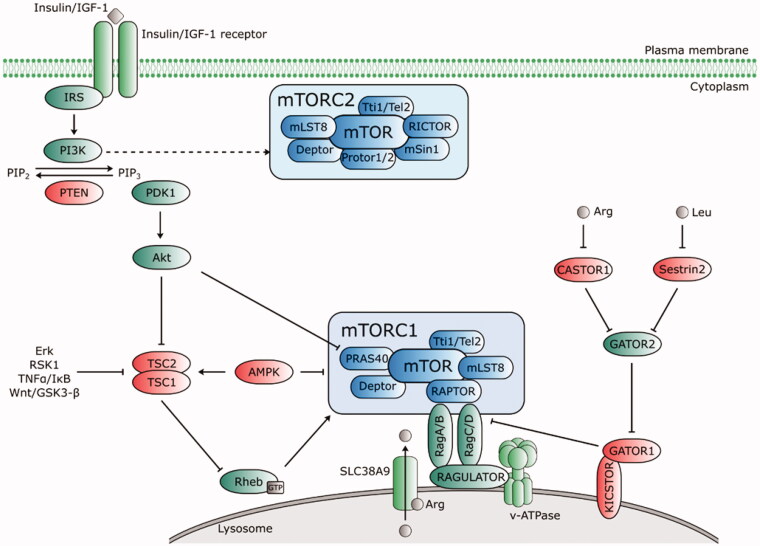 Figure 3.