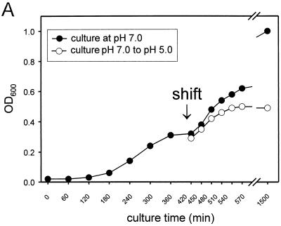 FIG. 6