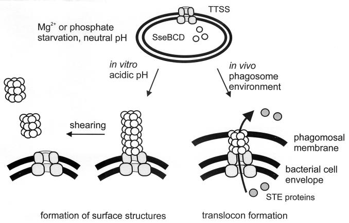 FIG. 8