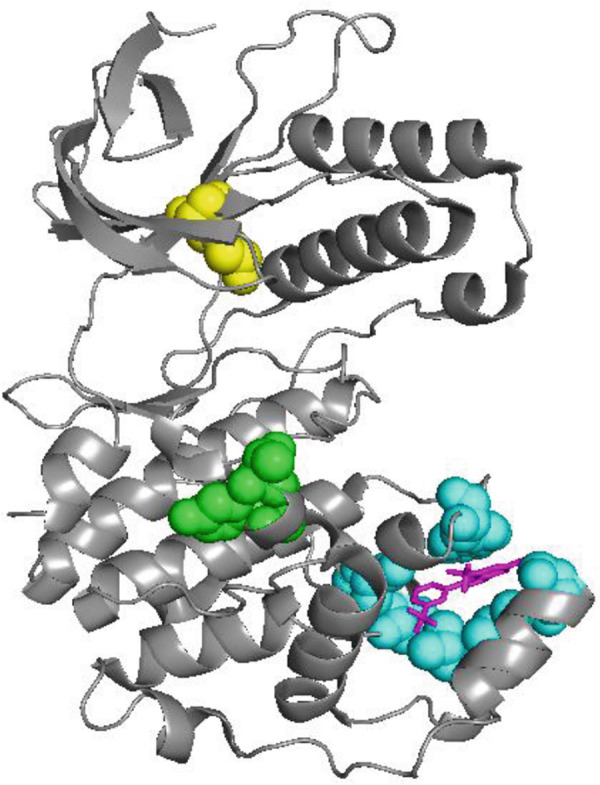 Fig. 7