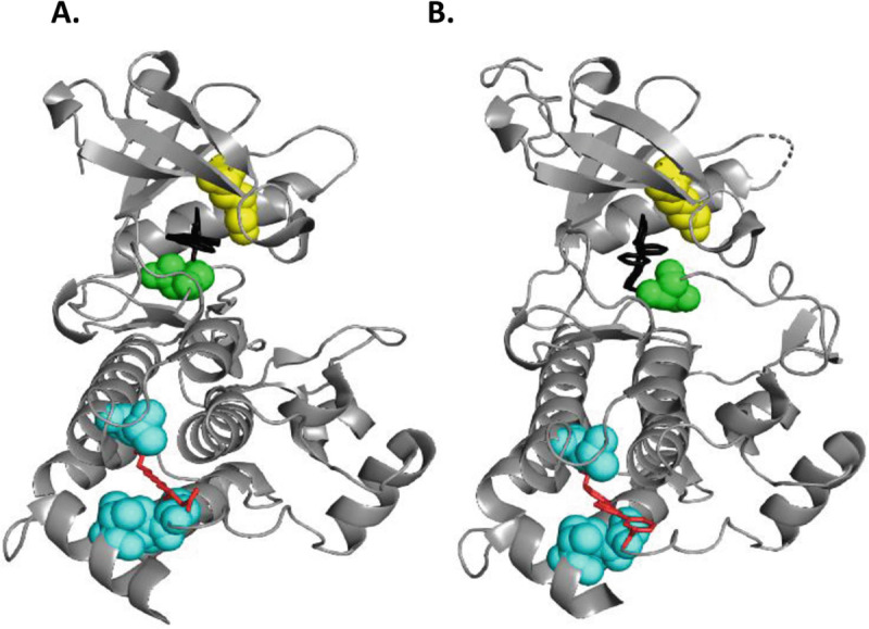 Fig. 8