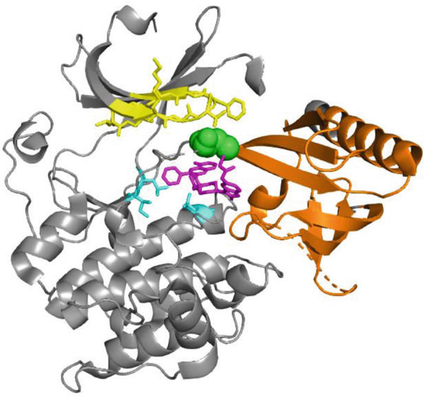 Fig. 13