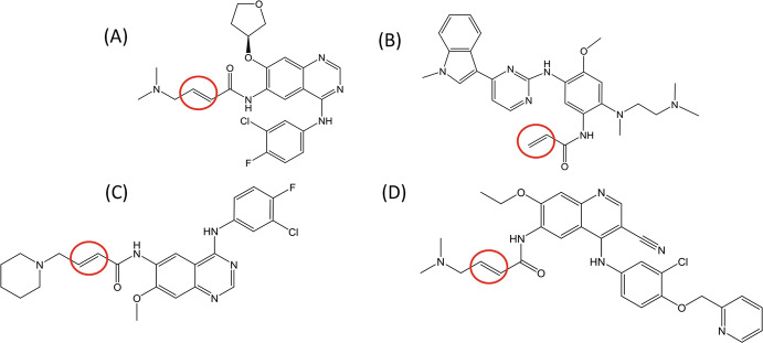 Fig. 12