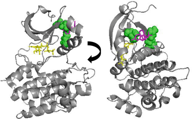 Fig. 9