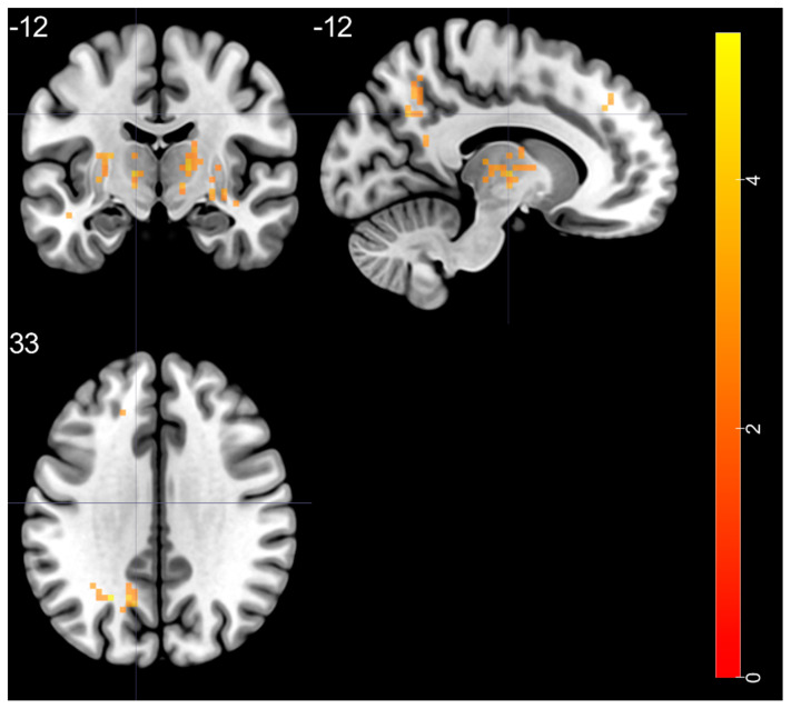 Figure 5