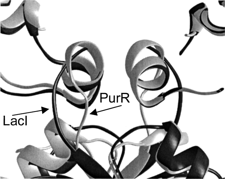 Fig. 10.