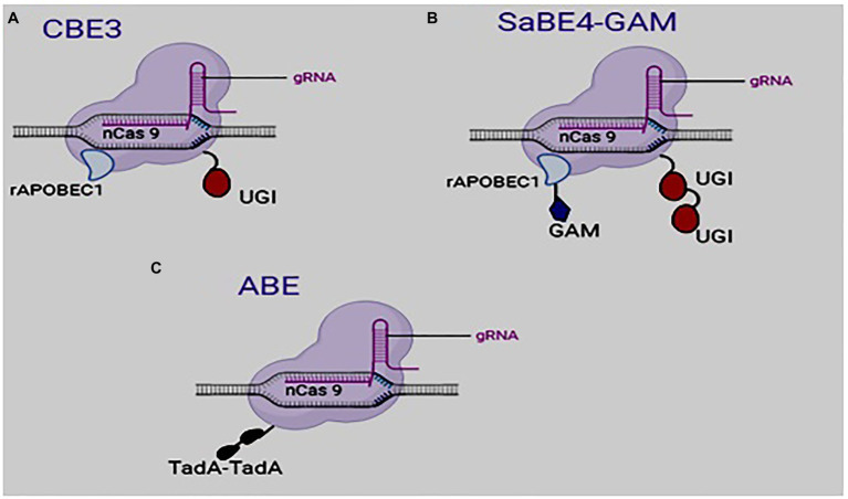 Figure 2