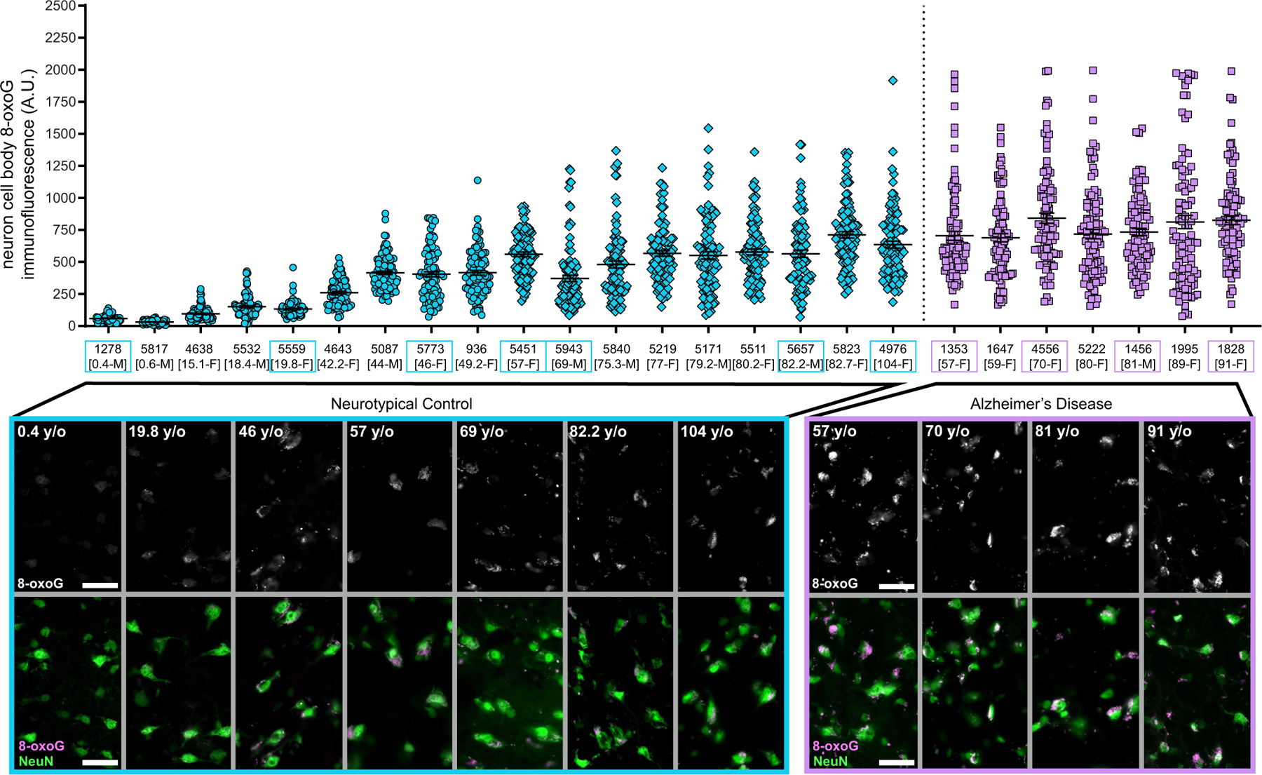 Extended Data Fig. 7 |