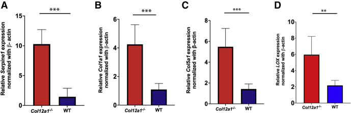 Figure 5