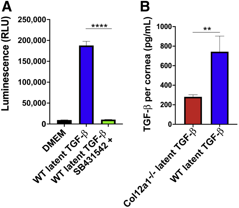 Figure 6