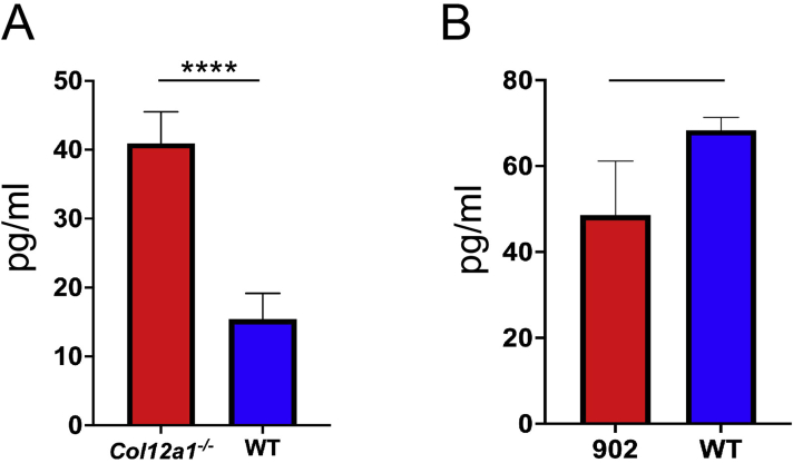 Supplemental Figure S1