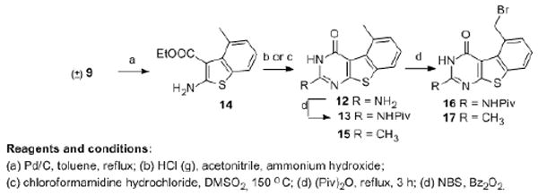 Scheme 2