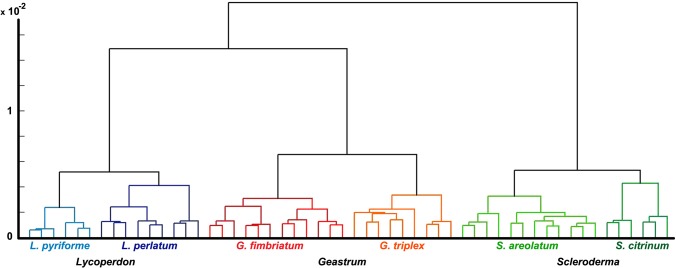 Fig 9