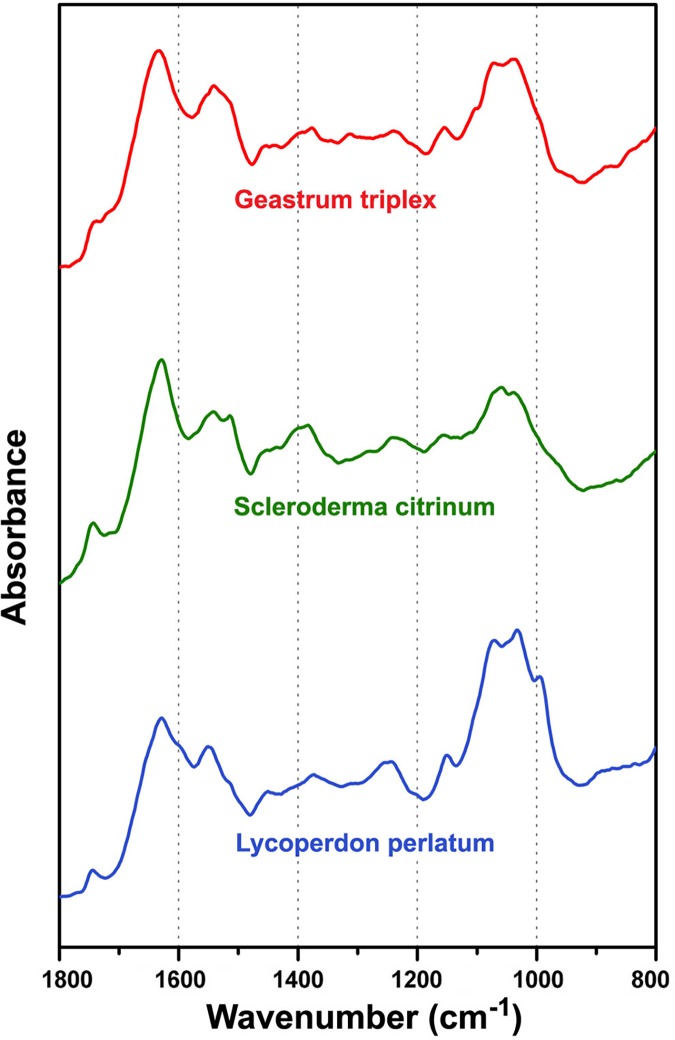 Fig 8