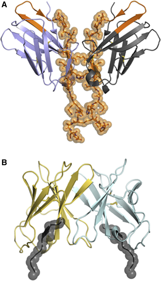 Figure 7