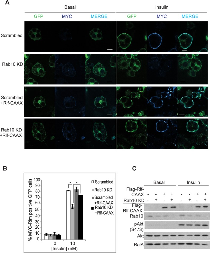 FIGURE 6: