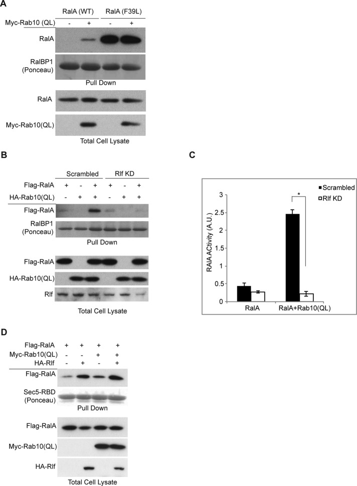 FIGURE 3: