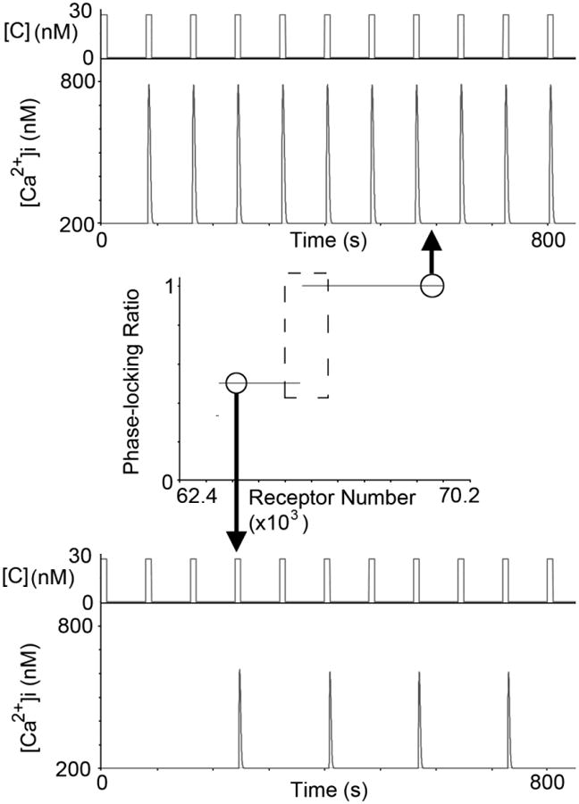 Fig. 5