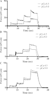 Fig. 3.