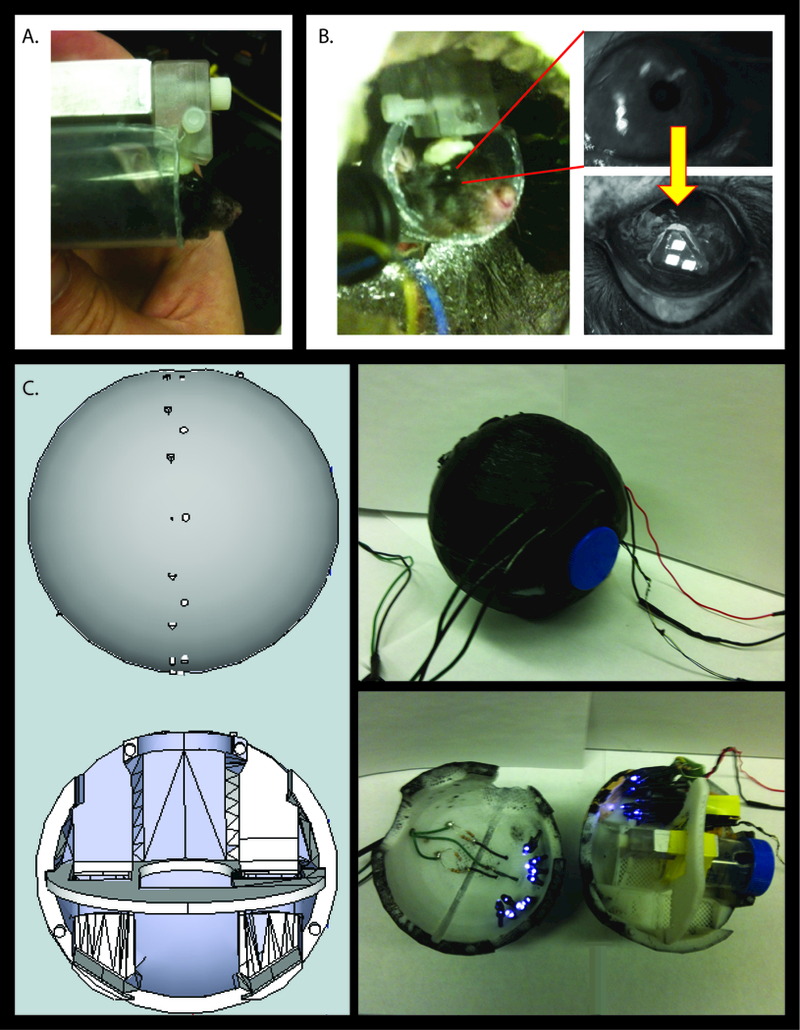 Figure 1.