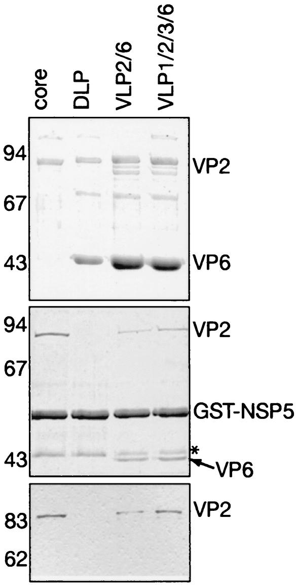 FIG. 5.