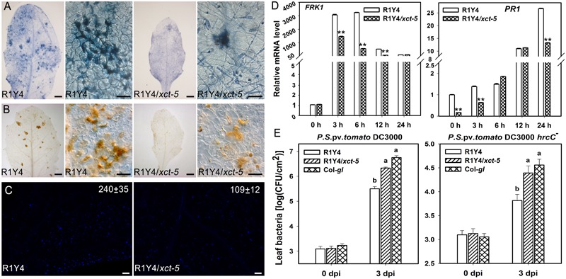 FIGURE 3