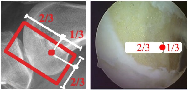 Fig. (7)