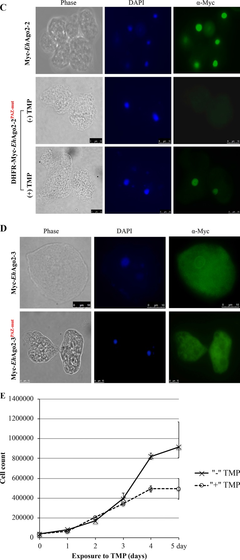 FIG 3