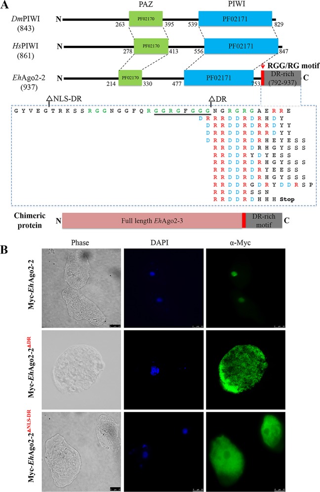 FIG 4