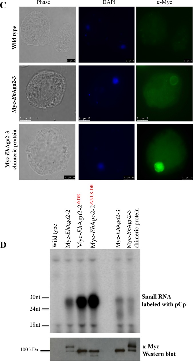 FIG 4