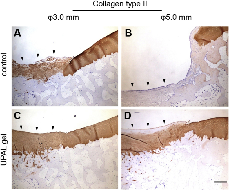 Fig. 3