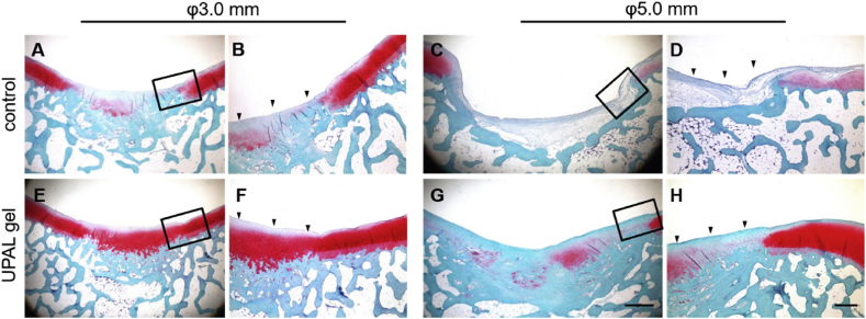 Fig. 2