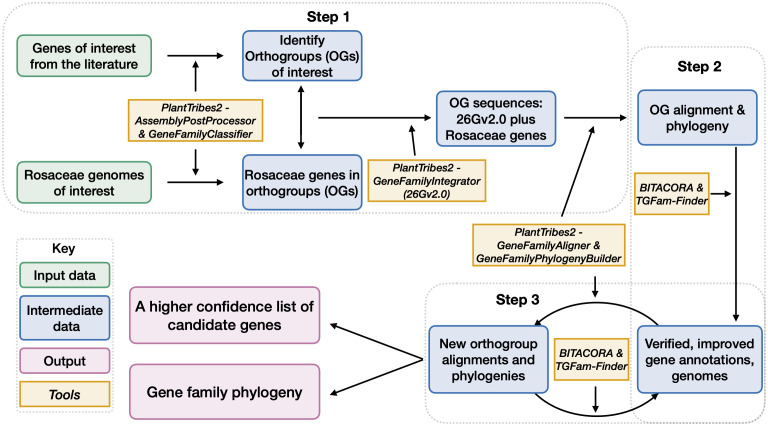 Figure 2