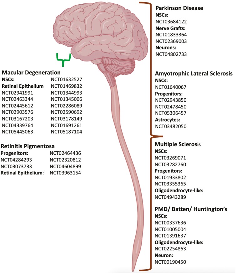 Graphical Abstract