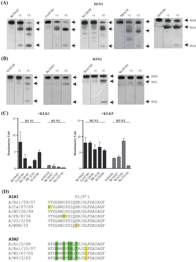 FIG 2