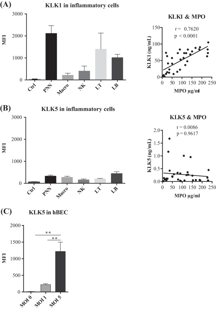 FIG 6