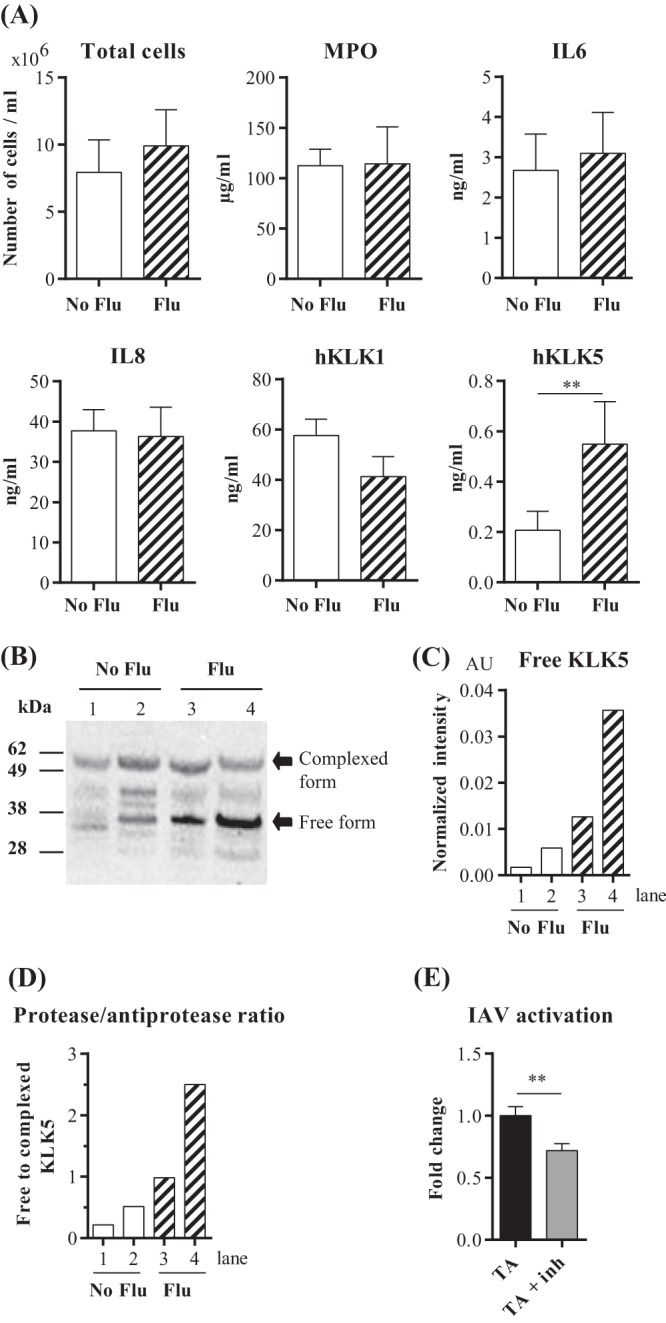 FIG 5