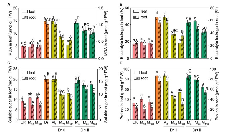 FIGURE 3